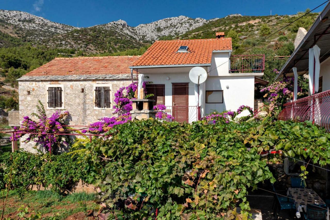 Apartments Franko Йелса Екстериор снимка